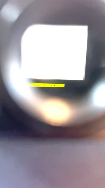 Nikon F5 Image