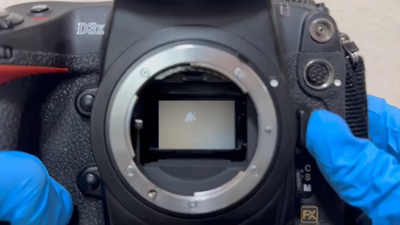 Nikon D3x Image