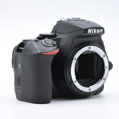 Nikon D5600 DX Image
