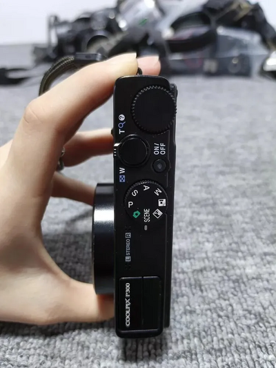 Nikon P300 Image
