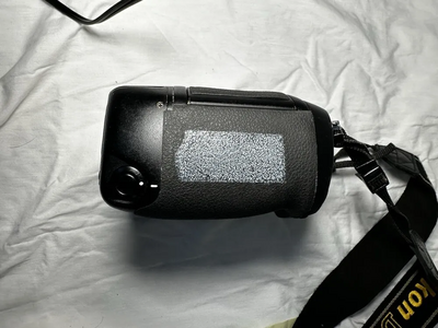 Nikon D1 Image