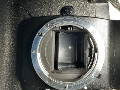Nikon D1 Image