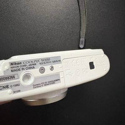 Nikon Coolpix w100 Image