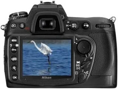 Nikon D300 Image