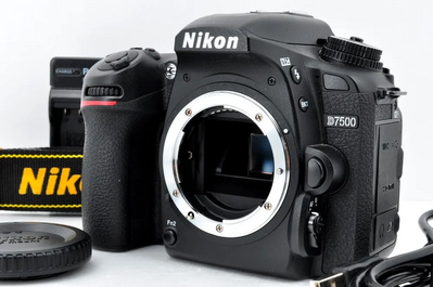 Nikon D7500, Image