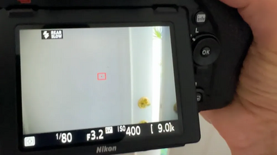 Nikon D750 Image