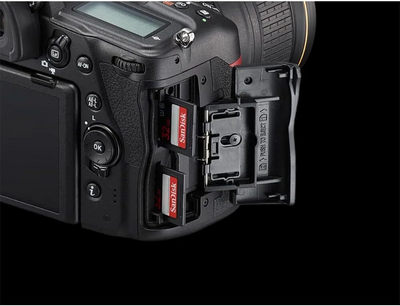 Nikon D780 Image