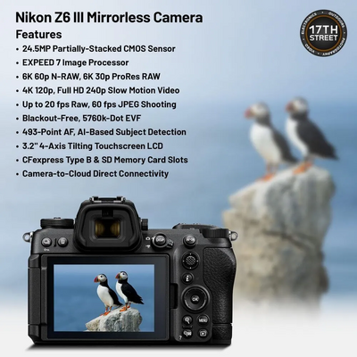 Nikon Mirrorless s Image