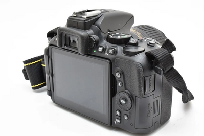 Nikon D5500 Image