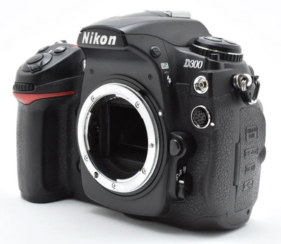 Nikon D300 Image