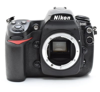 Nikon D300 Image