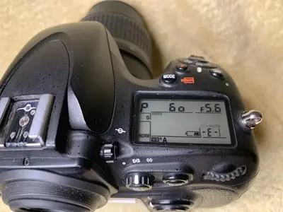 Nikon D800 Image