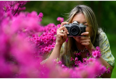 Nikon Z fc DX-format Mirrorless  Body Image