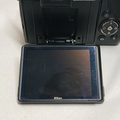 Nikon P100 Image