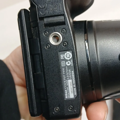 Nikon P100 Image