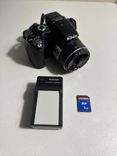 Nikon P100 Image