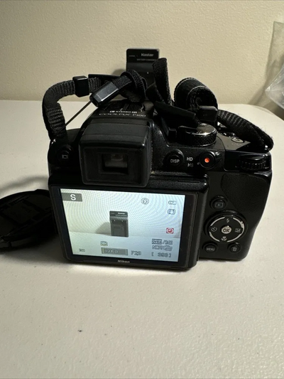 Nikon P100 Image