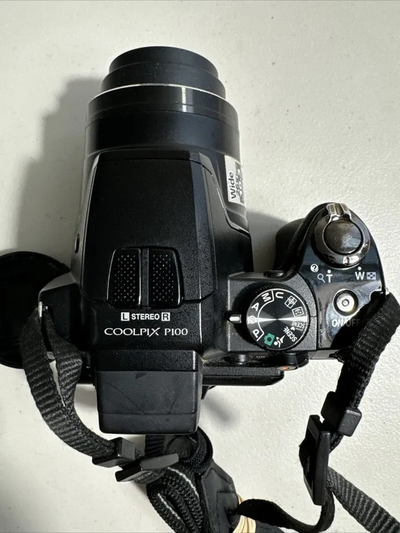 Nikon P100 Image