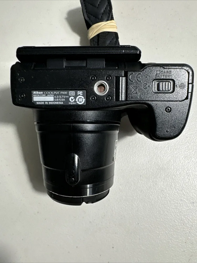 Nikon P100 Image