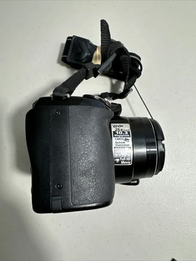 Nikon P100 Image