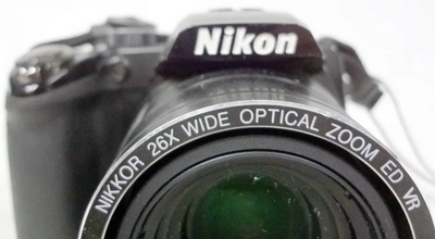 Nikon P100 Image