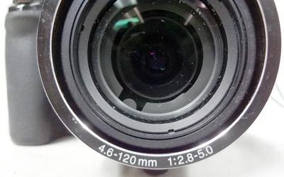 Nikon P100 Image