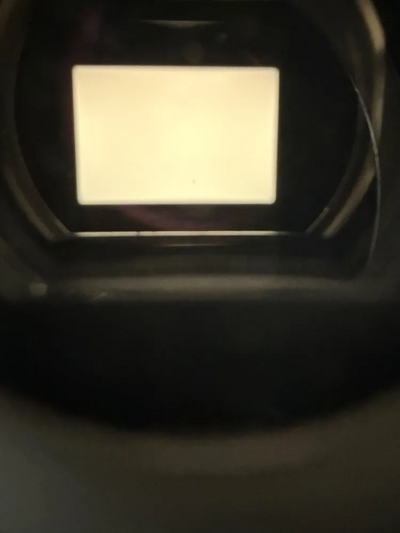 Nikon D800 Image