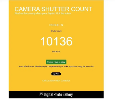 Nikon D5 Image