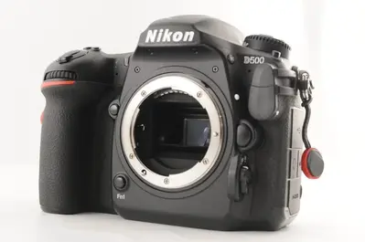 Nikon D500 Image