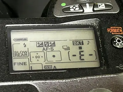 Nikon D70 Image