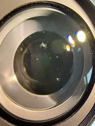 Nikon D7000 Image