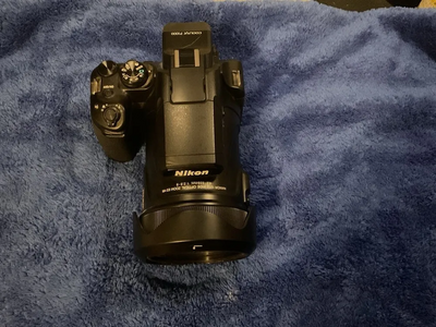 Nikon P1000 Image