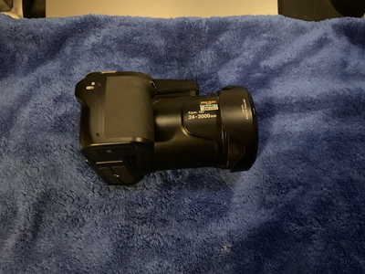 Nikon P1000 Image