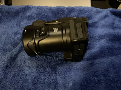 Nikon P1000 Image