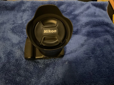 Nikon P1000 Image