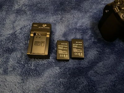 Nikon P1000 Image