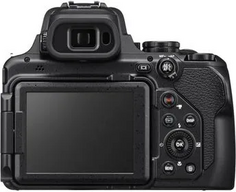 Nikon P1000 Image