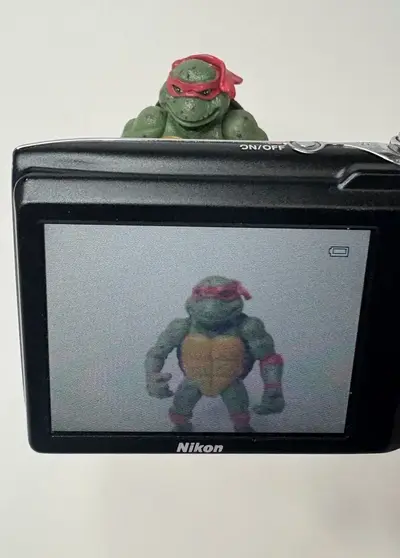Nikon S3100 Image