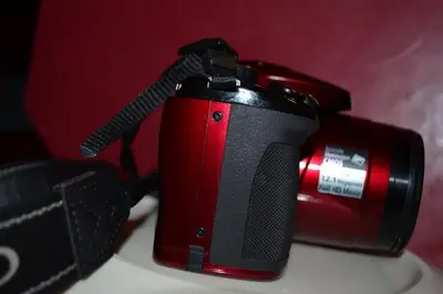 Nikon P500 Image