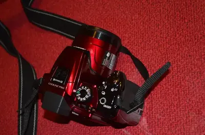 Nikon P500 Image