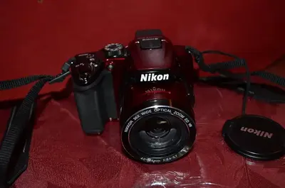Nikon P500 Image