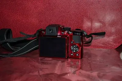 Nikon P500 Image