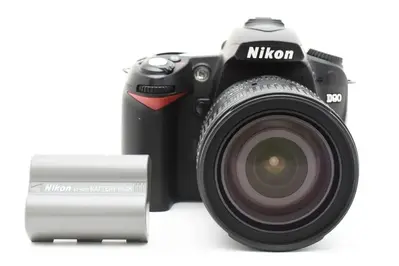 Nikon D90 Image