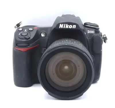 Nikon D300 Image