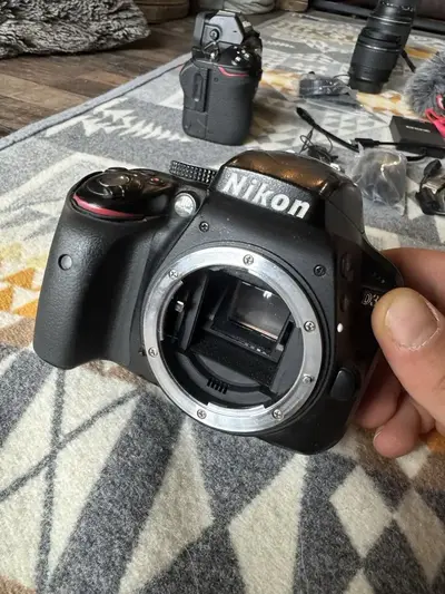 Nikon Z6 Image