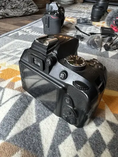 Nikon Z6 Image
