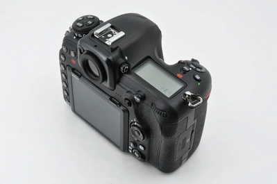 Nikon D500 Image