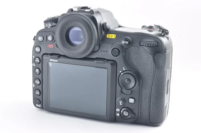 Nikon D500 Image