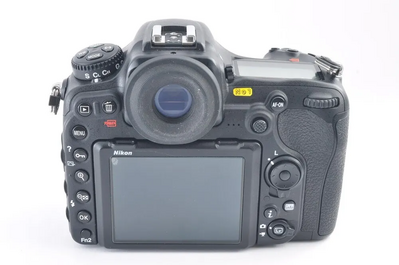 Nikon D500 Image