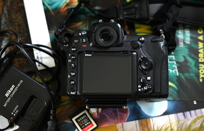 Nikon D500 Image